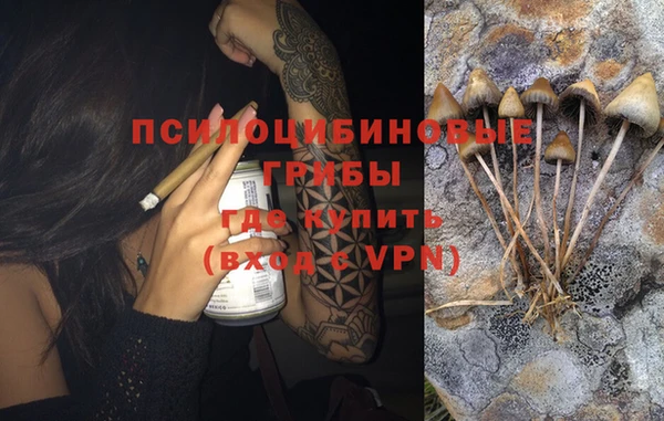 кокс Михайлов
