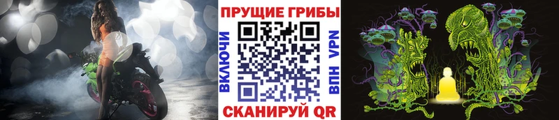 хочу наркоту  Спасск-Рязанский  Псилоцибиновые грибы MAGIC MUSHROOMS 